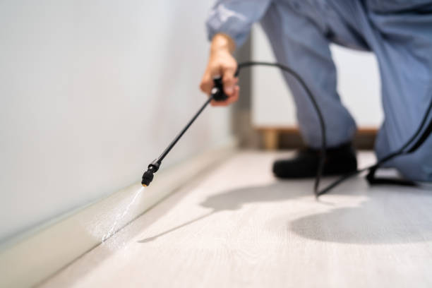 Licensed Pest Control service in K. I. Sawyer, MI - Show Me Pest Control
