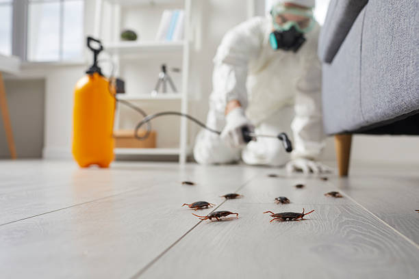 Commercial Kitchen Cockroach Control in K. I. Sawyer